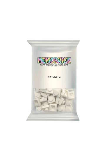 Bag of Bricks - White 37 - Memobrick